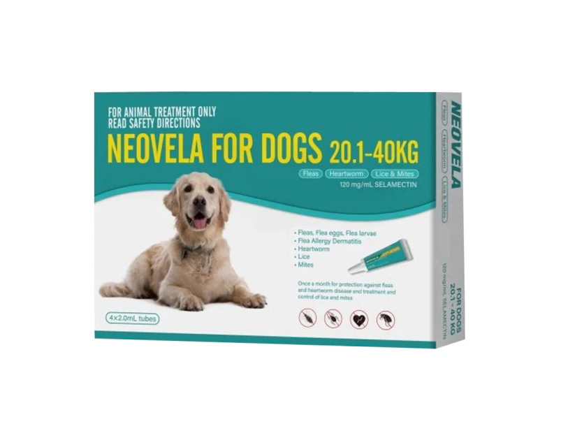 Neovela Teal 4 Pack for Dogs 20.1kg to 40kg Flea & Heartworm Treatment (Selamectin)