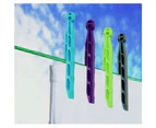 SupaHome Dolly Plastic Clothes Peg (Pack of 24) (Multicoloured) - ST8498