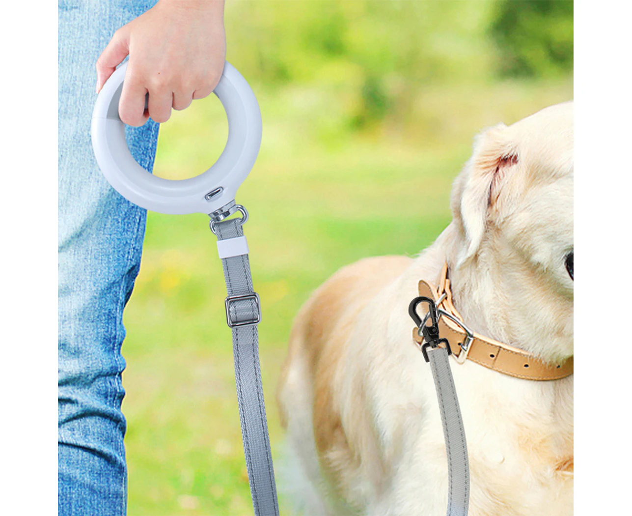 Pawz LED Dog Leash Lead Walking Rope Flashlight Heavy Duty 45kg Capacity White