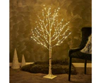 Christmas Decoration Lit Up White Birch Twig Branch Tree Warm White LED Tips Indoor/Outdoor