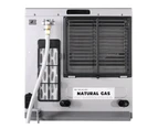 Rinnai DY15SN Silver Dynamo Natural Gas Heater