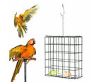 Hanging Metal Pet Birds Fruit Feeder for Lovebirds Finch Canary Parrot Poultry Feeding For Pet Wild Birds