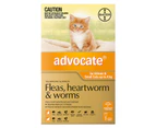 Advocate for Cats For Kittens & Small Cats Up To 4Kg (Orange) 3 Pack