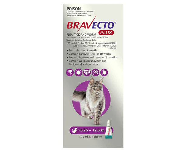 Bravecto Plus For Cats 6.25-12.5 Kg (Purple) 2 Pipettes