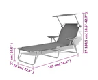 vidaXL Sun Lounger with Canopy Steel Grey