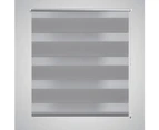Zebra blind 50 x 100 cm grey