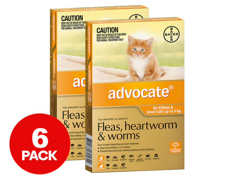 2 x 3pk Advocate Flea & Worm Treatment For Small Cats Orange 0-4kg