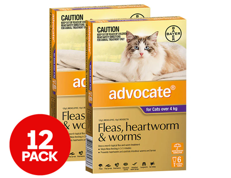 2 x 6pk Advocate Flea & Worm Treatment For Cats 4kg+