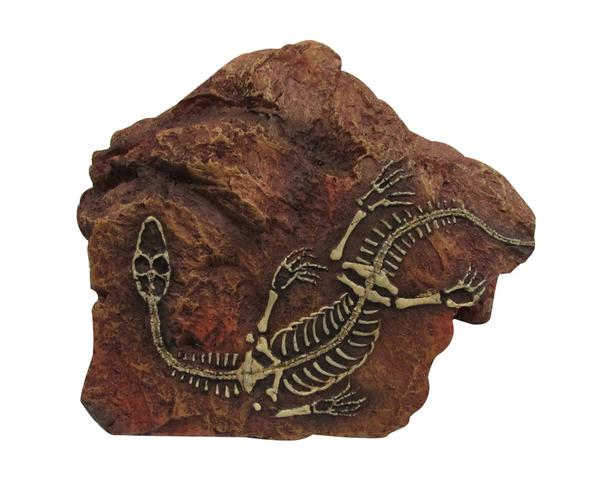 URS Fossil Hide Reptile Enclosure Accessory Medium