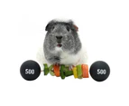HayPigs Piggy Weightlifter Vegetable Kebab Maker for Small Animals