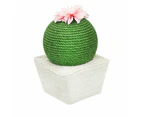Green Cactus Cat Scratching Ball