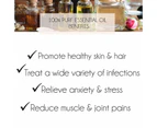 100% Pure Cinnamon Leaf Essential Oil  10ml For Aromatherapy, Diffuser, Perfume, Skin Care