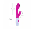 Sexy Pink G Spot Rabbit Vibrator Silicone Massager Four Styles - Pink