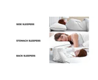 Bedra Pillow Duck Feather Down Pillows Twin Pack - White