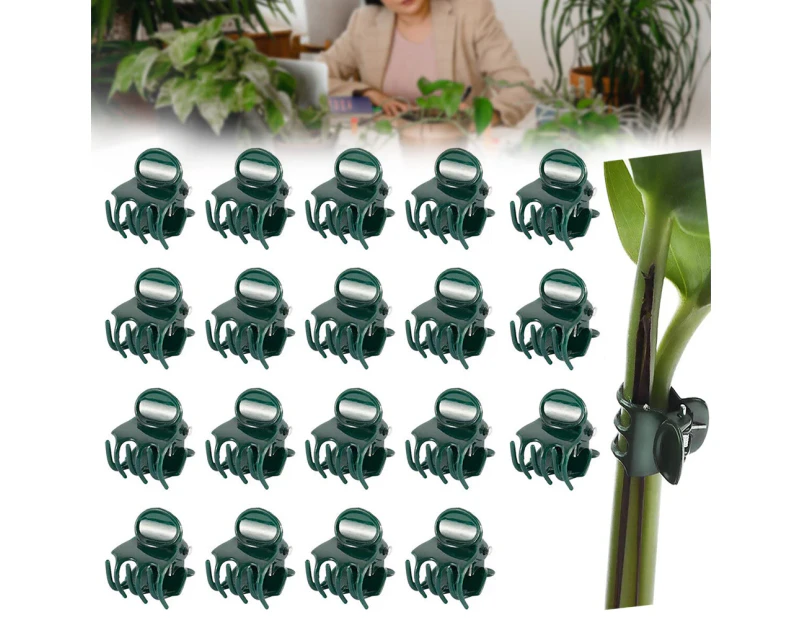 100PCS Small Orchid Plant Clips in DARK Green Plastic For Bamboo Flower Stakes