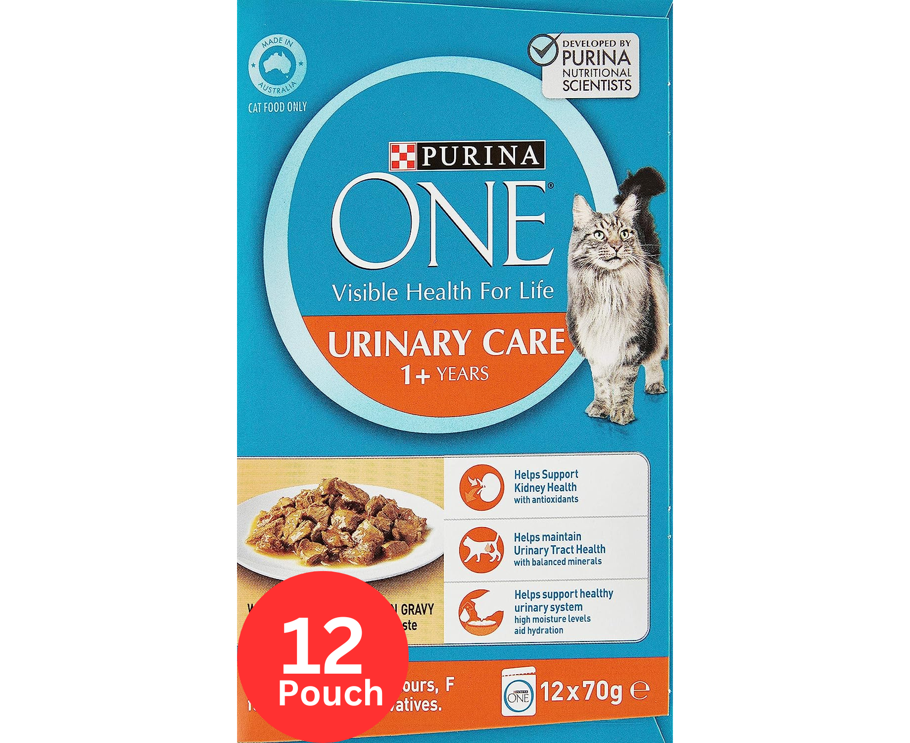 12PK Purina ONE Adult Urinary Care with Chicken Wet Cat Food 0.84