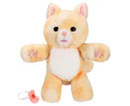 Little Live Pets Cozy Dozys Ginger the Kitty Toy