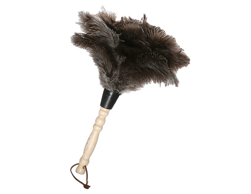 35CM-Ostrich Feather Duster, Feather Duster with Threaded Handle, Ostrich Feather Dusters, for Office, Living Room, Bookcase, Keyboard