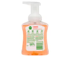 6 x Dettol Foam Hand Wash Lime & Orange Blossom 250mL