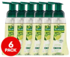 6 x Palmolive Foaming Antibacterial Hand Wash Lime & Mint 250mL