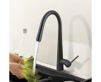 Luxury Kitchen Sink Mixer Tap Round Pull Out tap Brass Laundry Sink Faucets 360 Swivel WELS Black