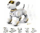 Robot Dog Toys for Girls Interactive Dog Toys FollowMe Robot Toys Intelligent Toy Dog with Singing Dancing -Gold