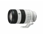 Sony Alpha A6700 Mirrorless Camera Everyday Kit with Sony E 18-105mm f/4 Zoom Lens