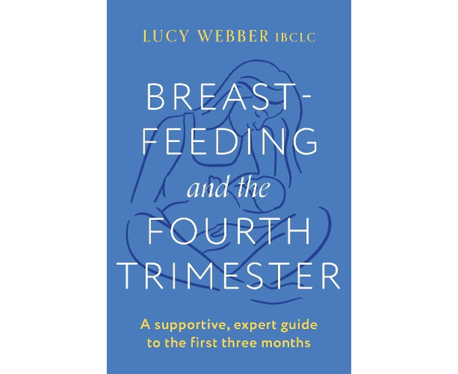 The Fourth Trimester Guide