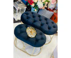 Premium footstool/velvet ottomans l2 with gold base in classic black set of 2