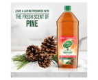2 x Pine O Cleen 1.25L Antibacterial Toilets/Floor/Bins Disinfectant Liquid Pine