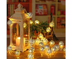 LED Fairy Lights Inside Electric Powered with Moroccan Silver Balls, 10M Fairy Lights Socket,Fairy Lights for Rooms, Weddings