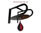 Speedball with Wall Frame Boxing Punching Bag