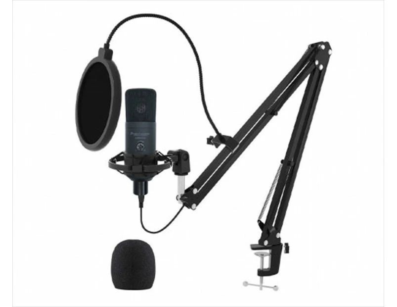 Usb Mic Kit Usb Microphone Shock Mount Boom Arm Pop Filter