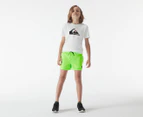 Quiksilver Youth Boys' 13" Everyday Volley Swim Shorts - Green Gecko