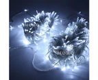 Cool White Warm White Multi-color 1000LED 100M LED Fairy String Christmas Birthday Wedding Lights Lighting Indoor Outdoor Garden Porch 8 Modes 31V - Cool White