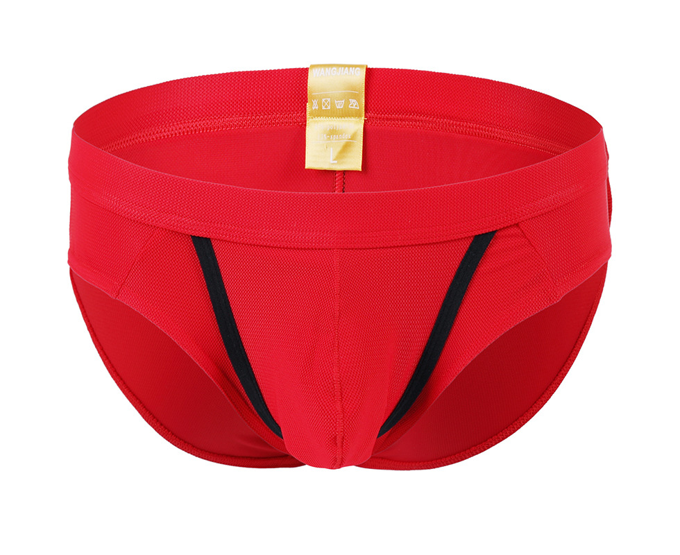 Exotic Briefs Mens Low Waist Underwear Gay Remove Bulge Penis U Pouch Red  Panty