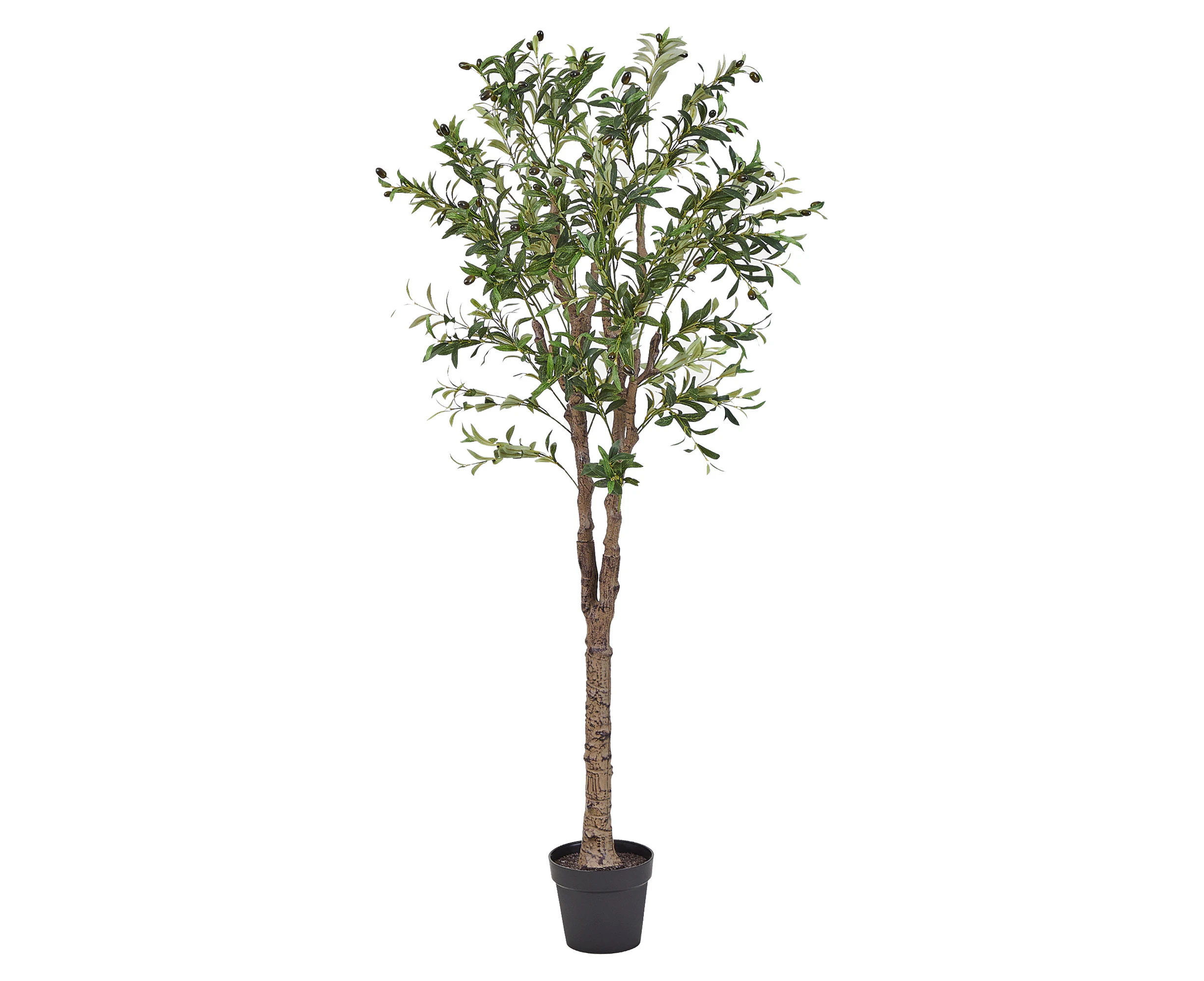 Cooper & Co. 170cm Artificial Olive Tree In Pot