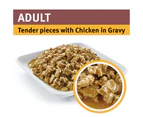 Pro Plan Adult Wet Cat Food Chicken Tender in Gravy 12 x 85g
