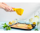 Dreamfarm 2-Piece Citrus Tool Set