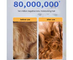2800W Low Noise Pet Hair Dryer Dog Grooming Blow Speed Hairdryer Blower Heater ~ Black
