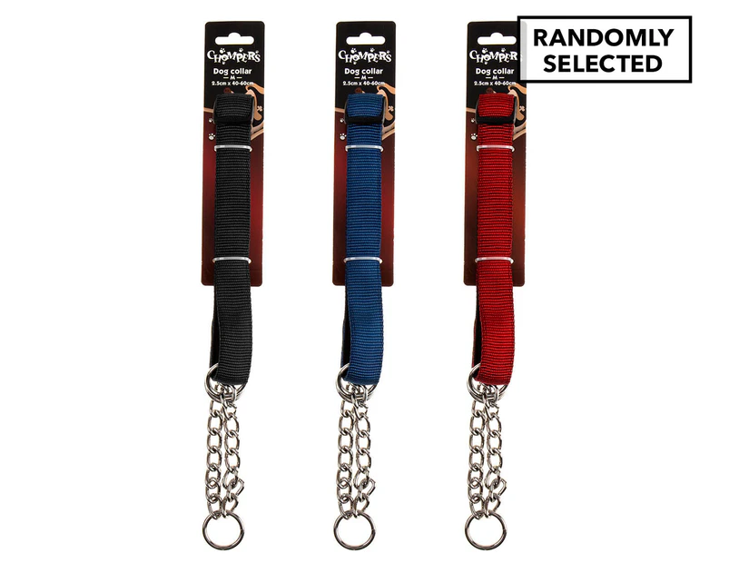 Chompers Medium Dog Collar - Randomly Selected