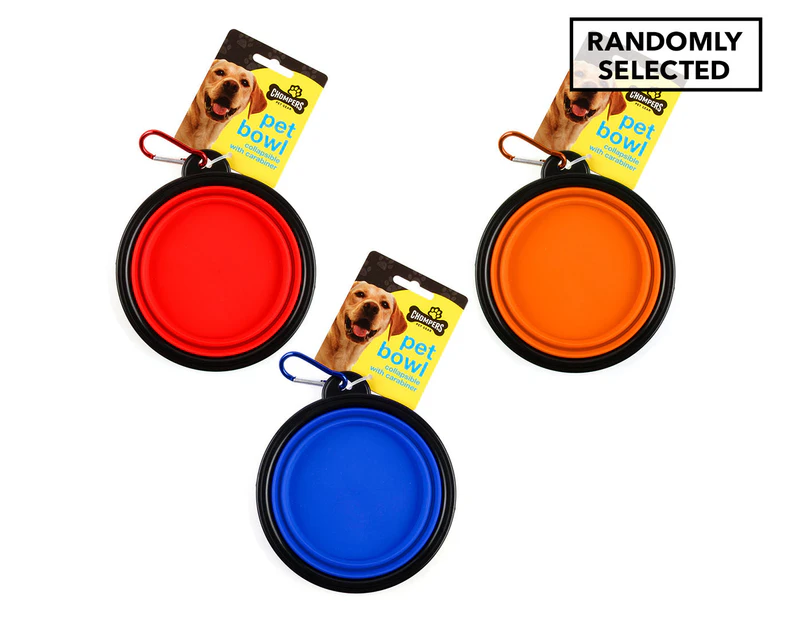 Chompers Collapsible Pet Bowl - Randomly Selected