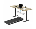 Lifespan Fitness WalkingPad M2 Treadmill with ErgoDesk Automatic Oak Standing Desk 1800mm + Cable Management Tray Run Walk Cardio Home Gym Treadmills