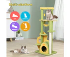 Pawz Cat Tree Kitten Furniture Condo Scratching Post Scratcher Multi-Level