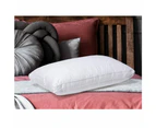 Herington  Set of 2 High Soft Pillows