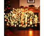 Stockholm 69.9M Christmas Lights 1000 LED String Lights Warm White