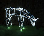 Stockholm Christmas Lights 100 LEDs Feeding Reindeer Cool White Outdoor Garden