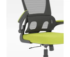 Advwin Desk Chair Office Chair Swivel Ergonomic Mesh Chair with Flip-up Armrest Height Adjustable Black + Green