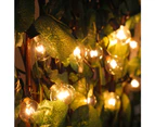 String Lights With G40 Bulbs Listed Backyard Patio Lights Garden Party Natural Warm Bulbs Cafe Hanging Umbrella Lights On Light String Indoor Outdoor,Black