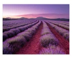 Elevate Lavender Fields 500-Piece Scented Jigsaw Puzzle